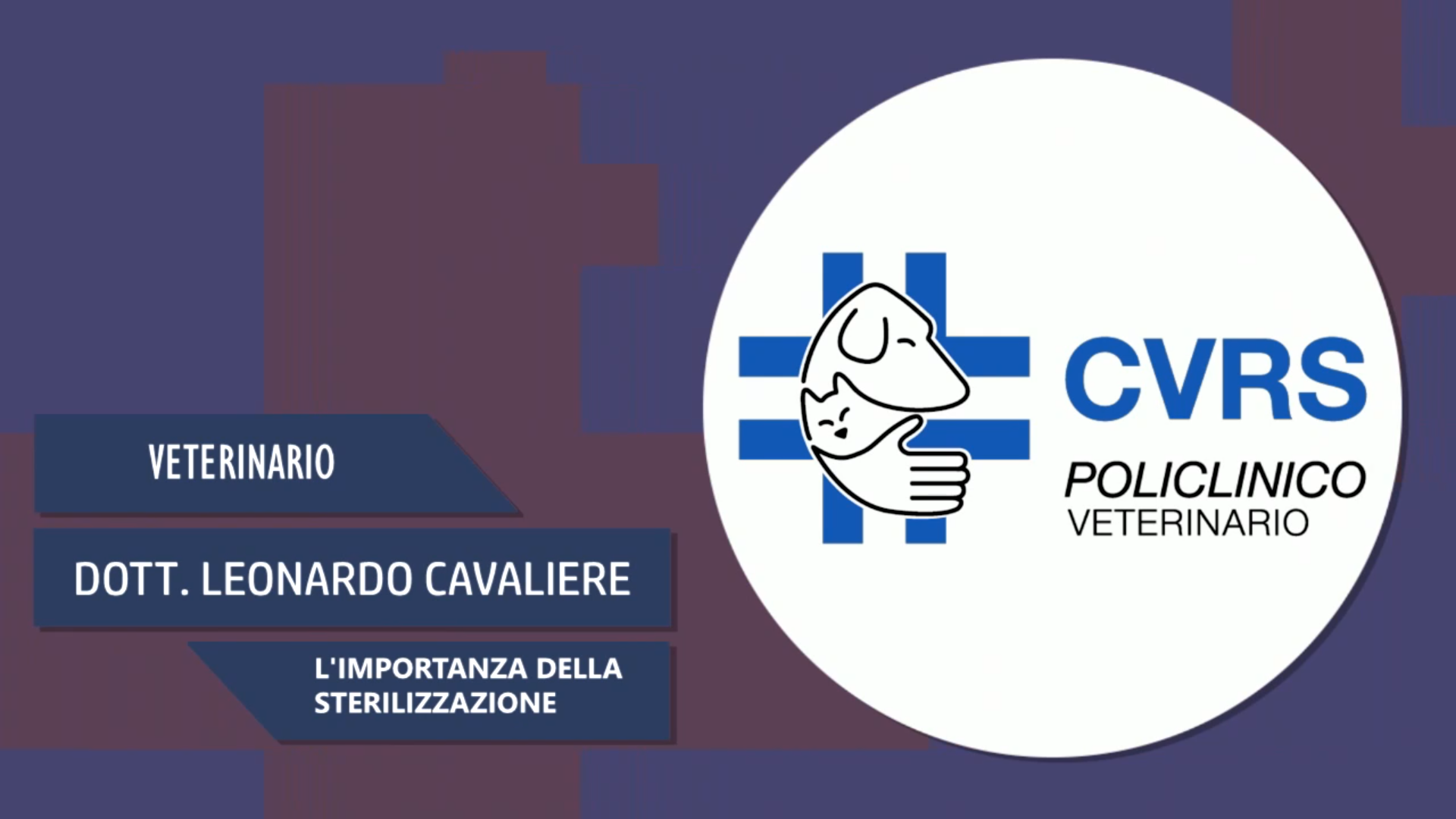 Intervista al Dott. Leonardo Cavaliere – L’importanza della sterilizzazione