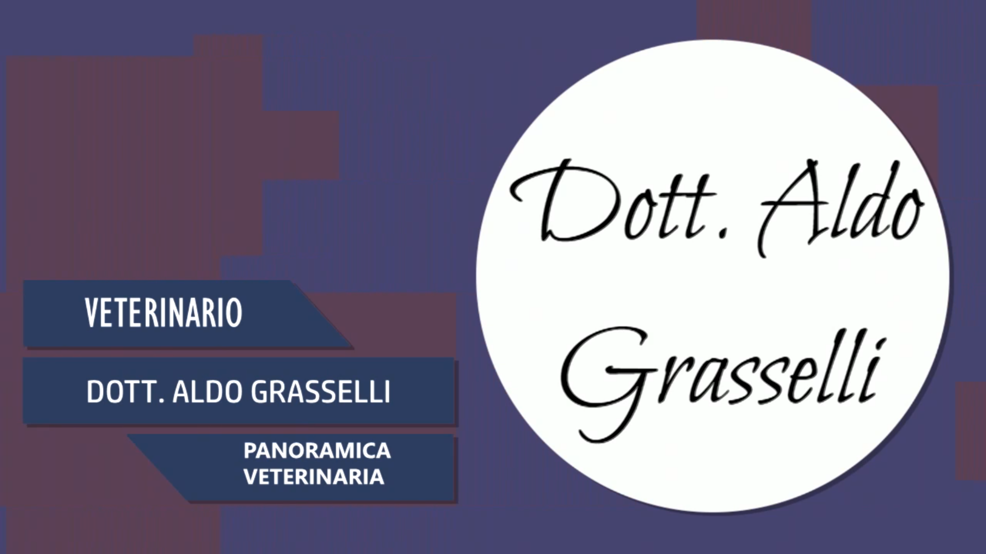 Intervista al Dott. Aldo Grasselli – Panoramica veterinaria