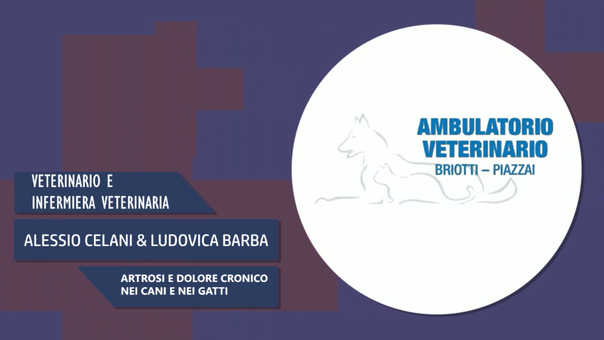 Intervista a Alessio Celani & Ludovica Barba – Artrosi e dolore cronico in cani e gatti