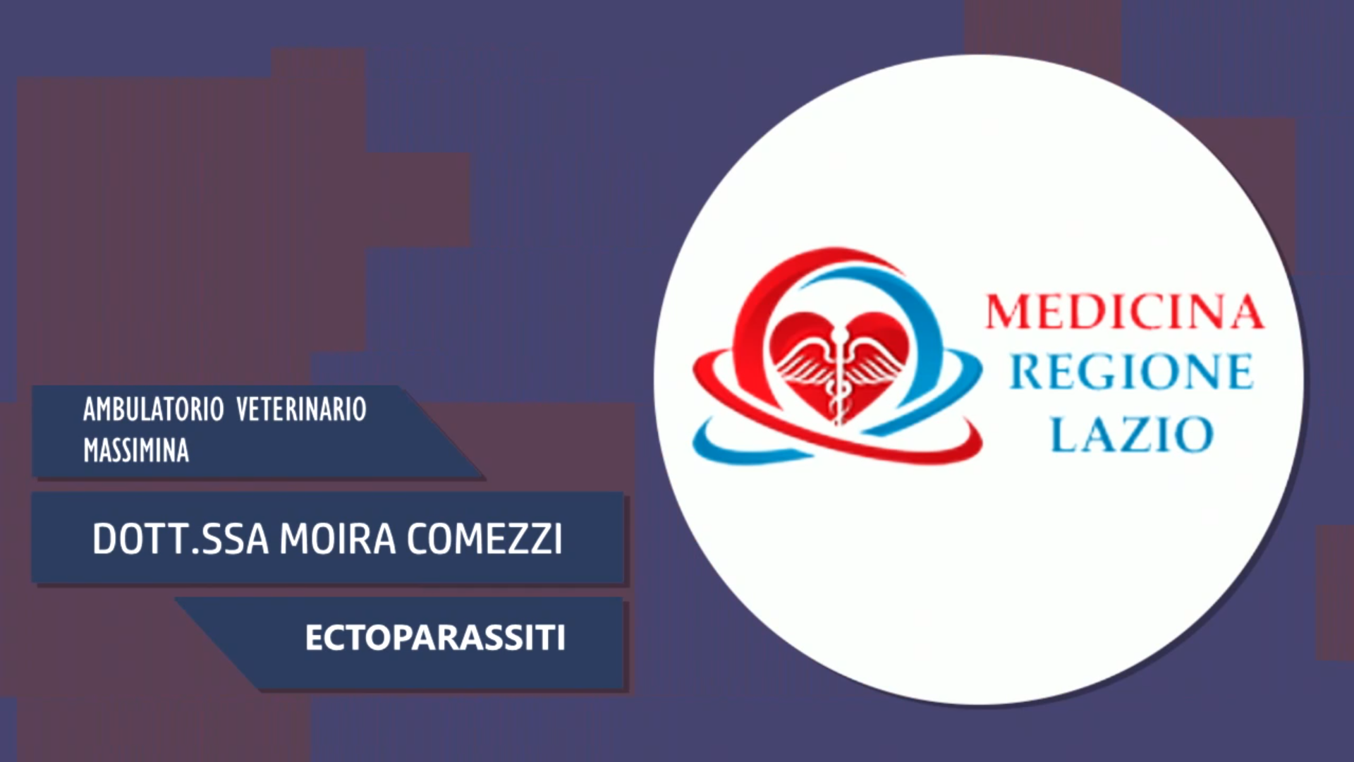 Intervista alla Dott.ssa Moira Comezzi – Ectoparassiti