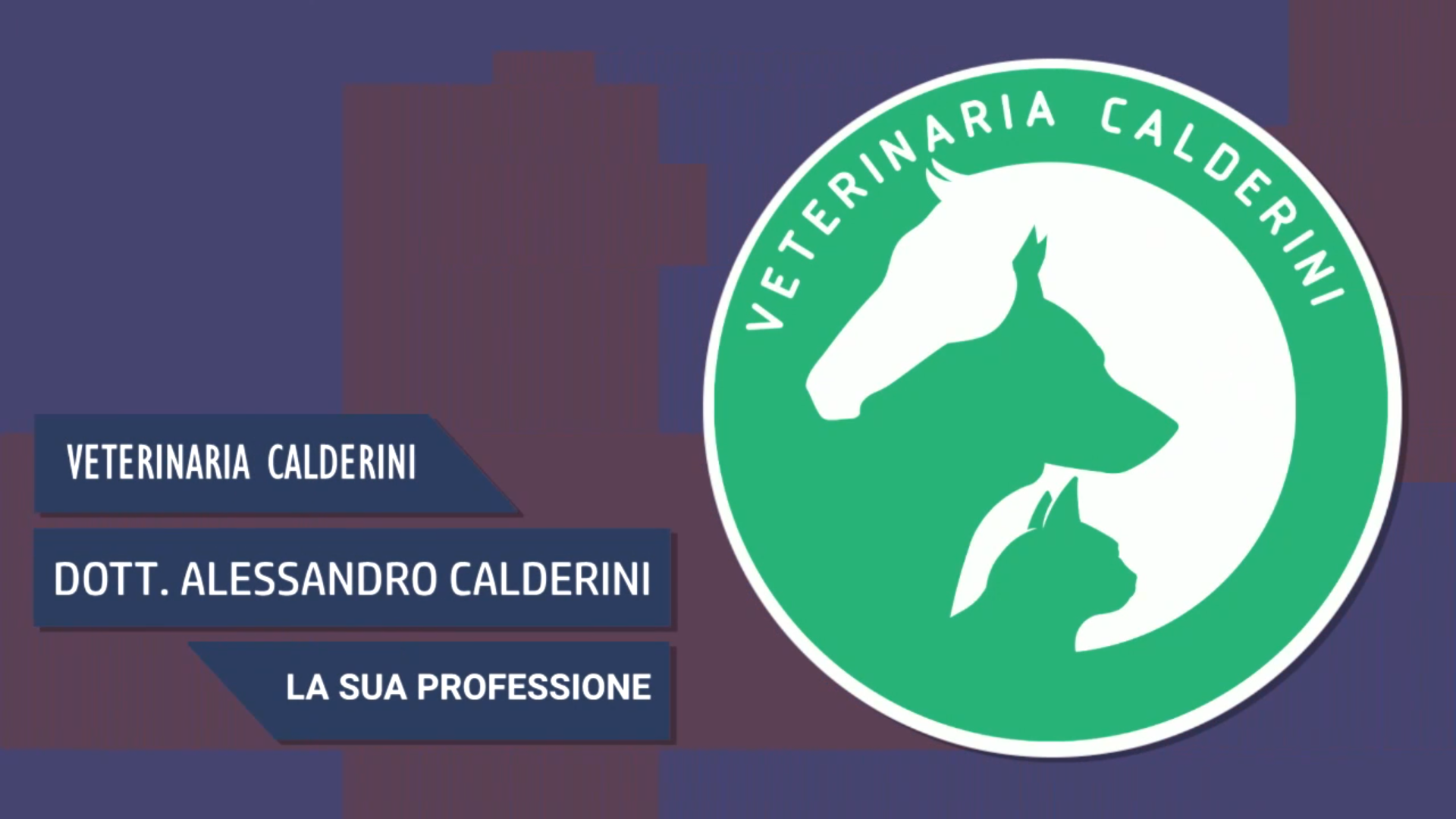 Intervista al Dott. Alessandro Calderini – La sua professione