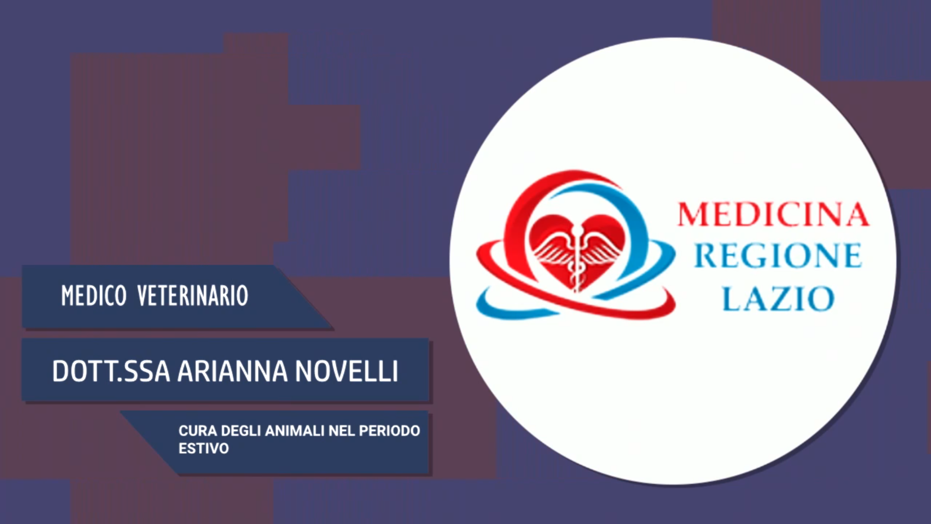 Intervista alla Dott.ssa Arianna Novelli – Cura degli animali nel periodo estivo