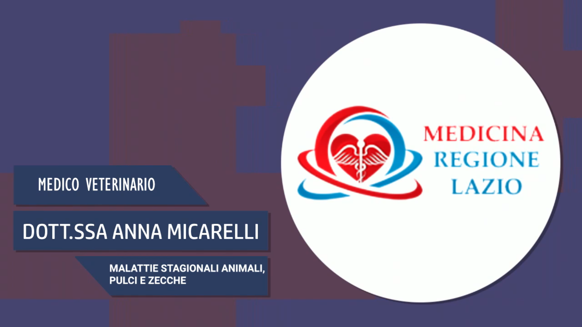 Intervista alla Dott.ssa Anna Micarelli – Malattie stagionali degli animali